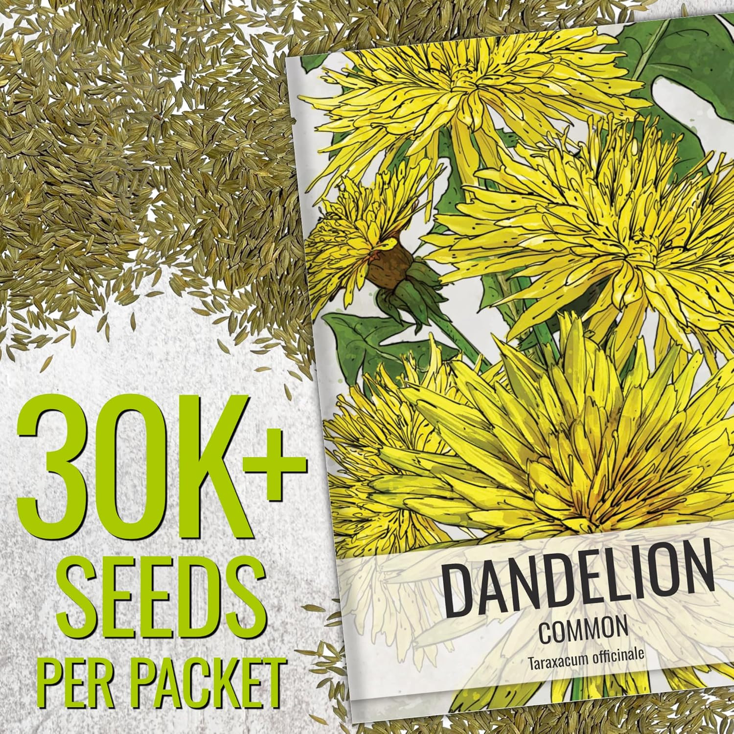 30,000+ Common Dandelion Herb Seeds for Planting – Non-Gmo, Heirloom & Untrea…