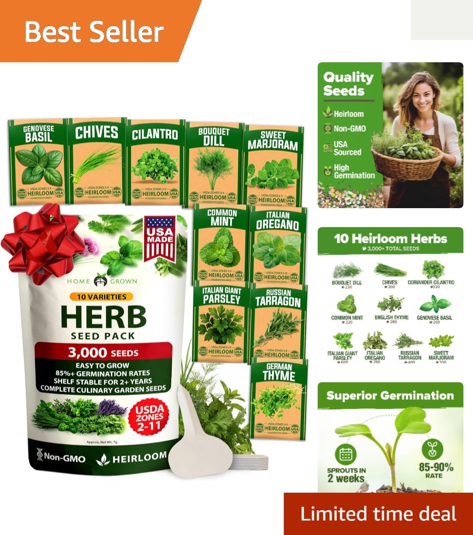 Sustainable Fresh Herb Seeds – 3000 Seeds for Culinary Excellence -Round