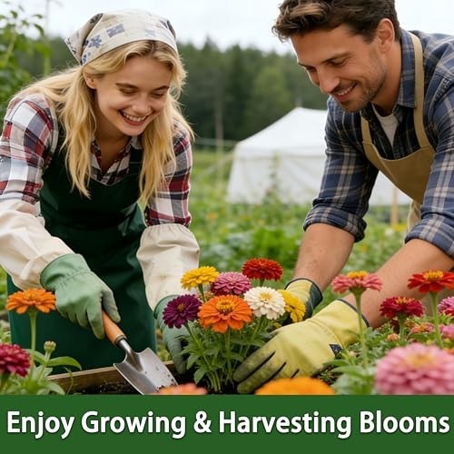 Mixed Color Zinnia Seeds – 6500+ Bulk Pack, Large Blooms, Non-GMO, High Germinat
