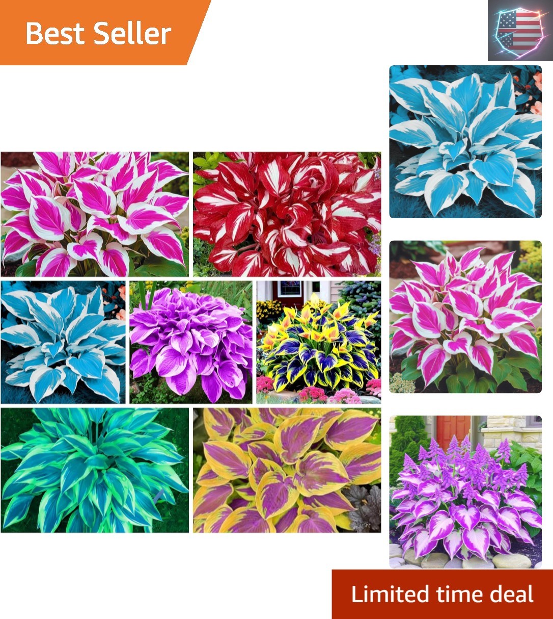 400+ Perennial Rare Hosta Seeds Heart-Shaped Hosta Bare Roots – Rich Foliage,…
