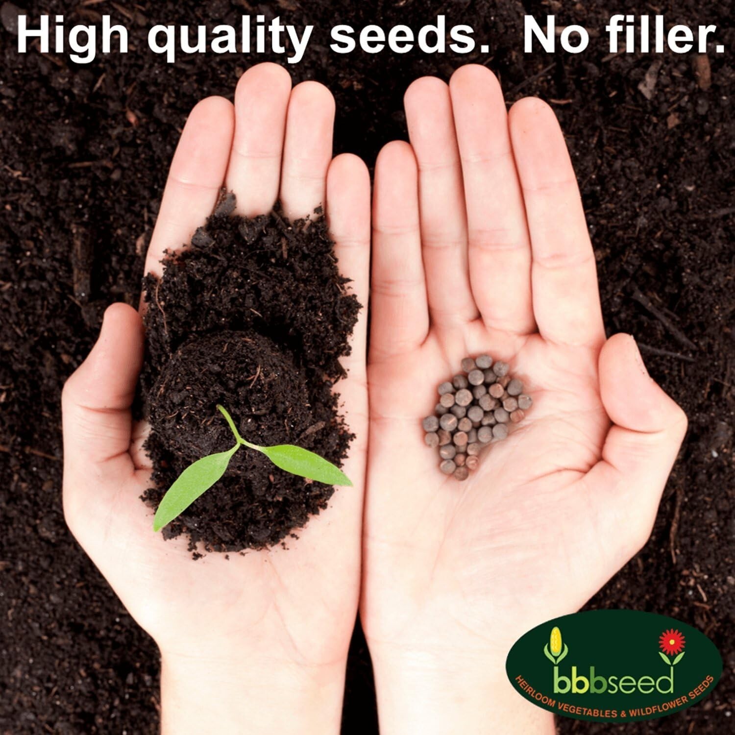 High Quality Partial Shade Wildflower Seeds – Attract Pollinators Year Round