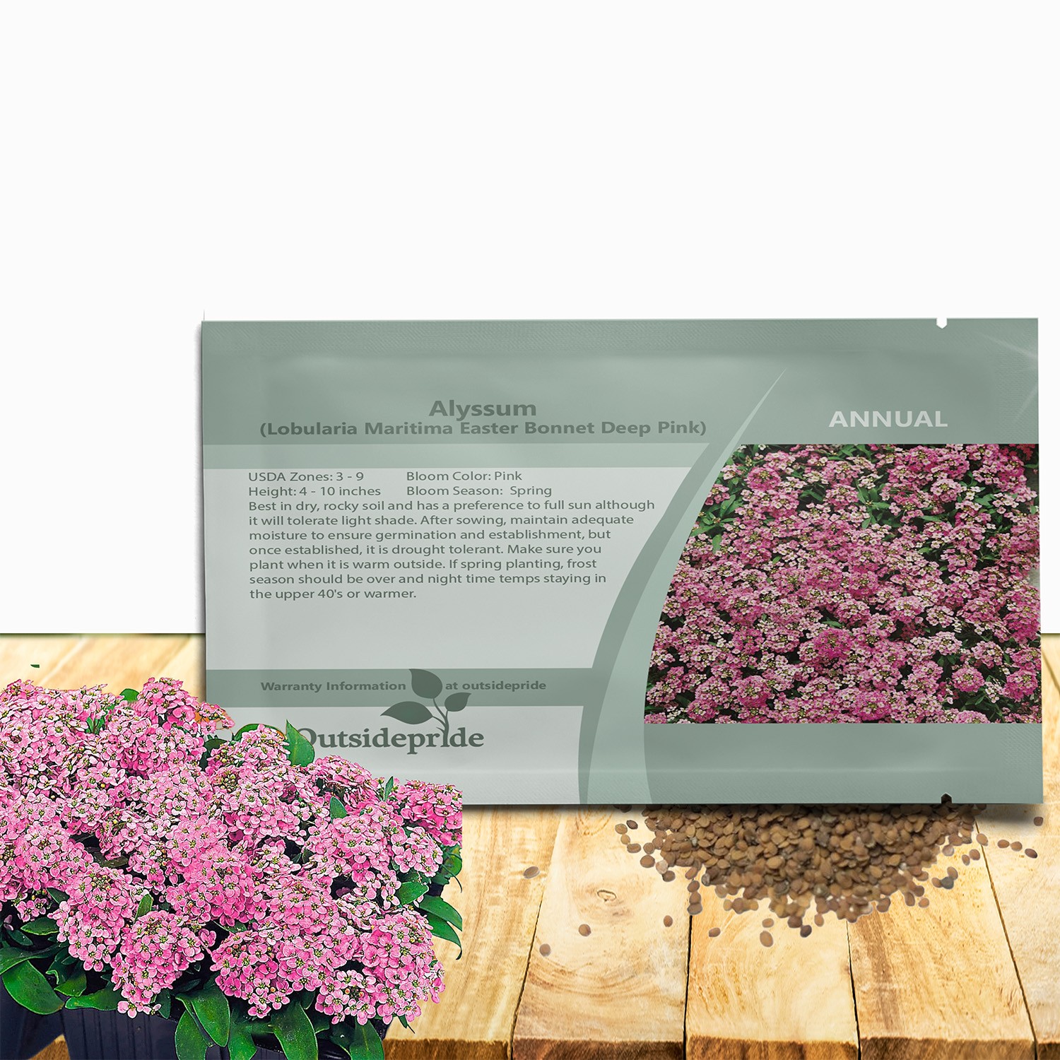 2000 Seeds Deep Pink Alyssum Ground Cover Plant Seeds Resistant To Drought