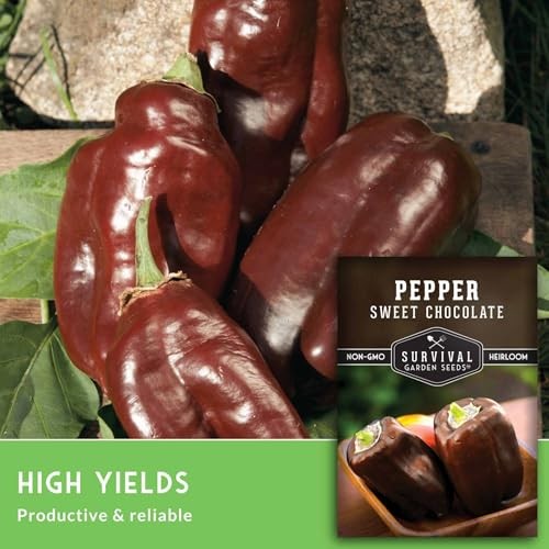 Sweet Chocolate Pepper Seeds for Planting – Unique Heirloom Brown Bell 5