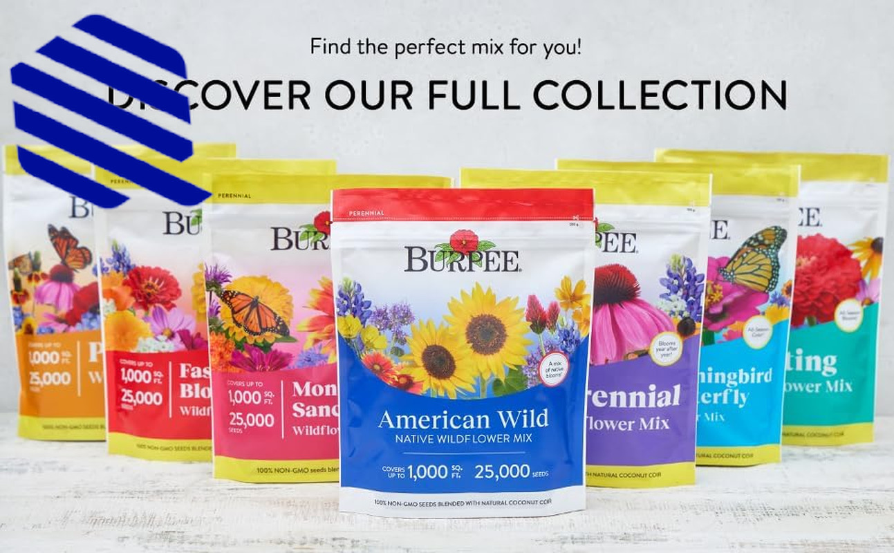 Wildflower 25,000 Bulk 1 Bag 18 Varieties of Non Gmo Flower Seeds Pollinator