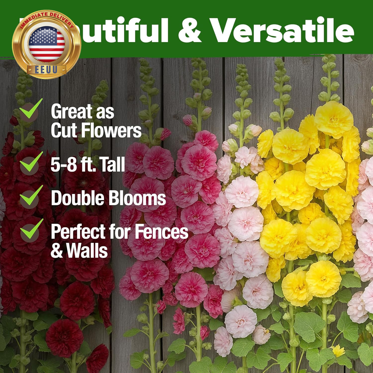 Hollyhock Summer Carnival Mix Flower Seeds – Alcea Rosea, Premium Annual Flower