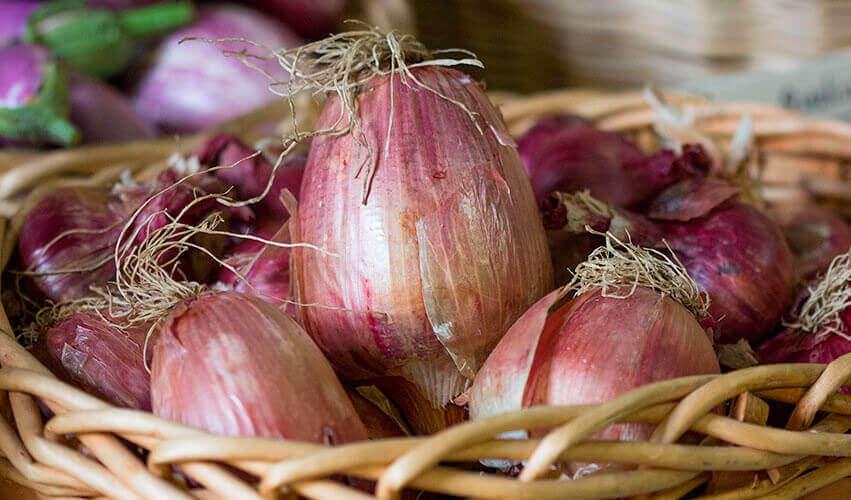 ONION Heirloom Mix 100 NON-GMO Garden Seeds ALL TYPES DELICIOUS overwinter tasty
