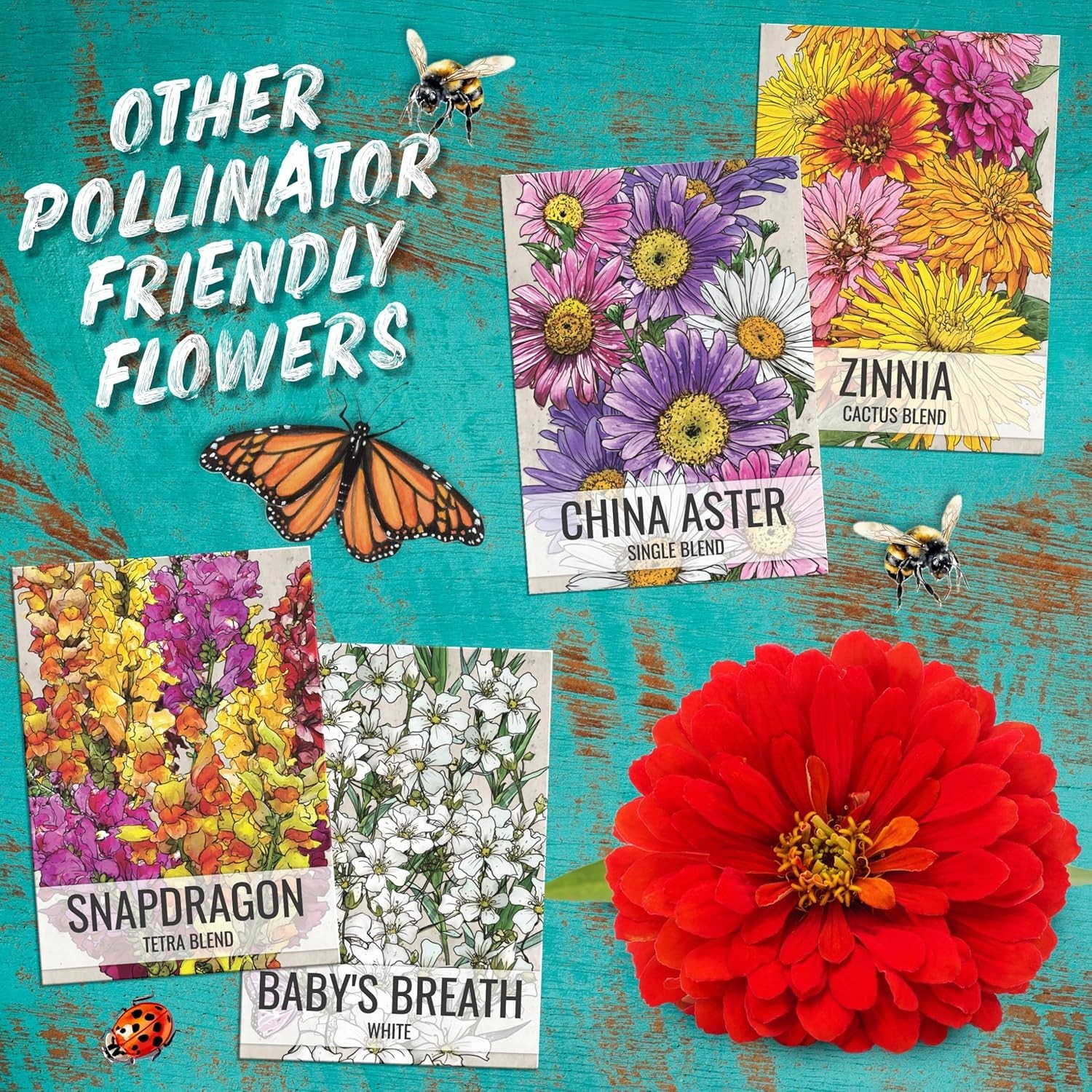 Crazy Cosmos Mix – 10+ Open Pollinated Flower Seed Varieties for Vibrant Gardens