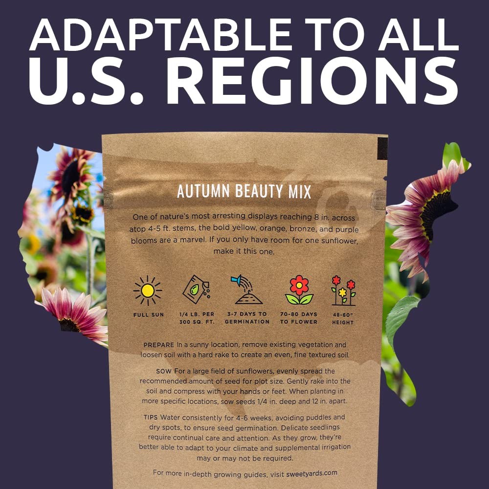 Autumn Beauty 1/4 Pound Bag, Shades of Gold, Bronze, Yellow, and Purple
