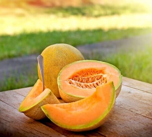 25 Premium Hearts of Gold | NON-GMO | Cantaloupe Seeds-B 36