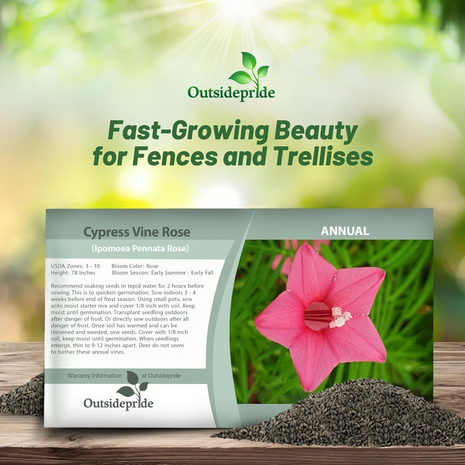 100 Seeds Cypress Vine Seed – Ipomoea Pennata Rose Flower Seeds