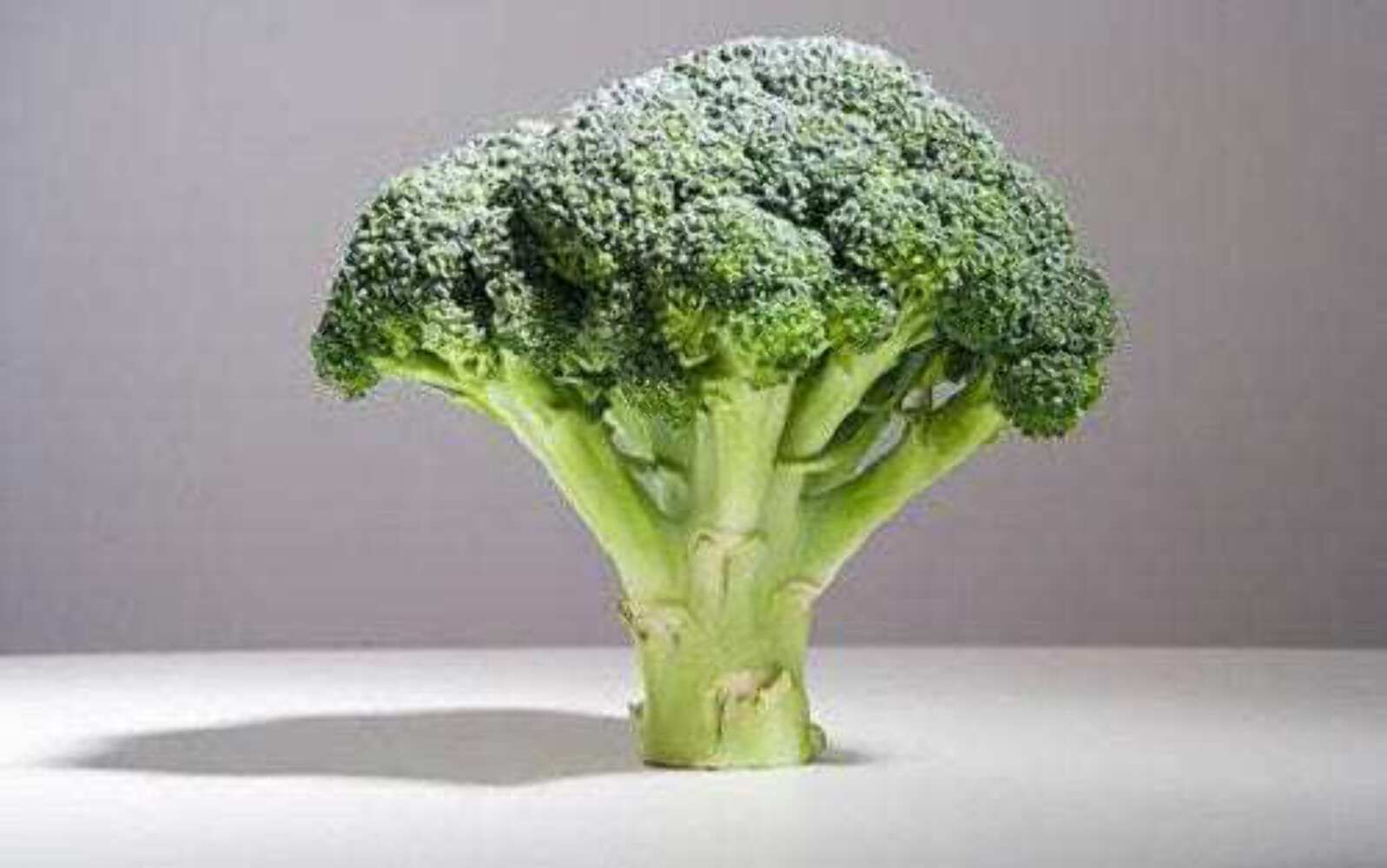 1000 Organic DE CICCO BROCCOLI Di Cicco Brassica Oleracea Vegetable Seeds