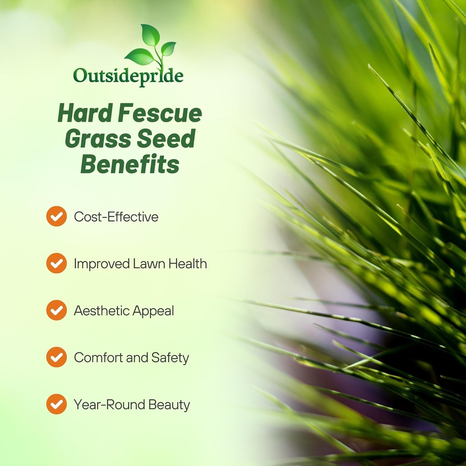 25 LBS – OptiGrowth Coated Hard Fescue Grass Seed – Low Growing Fine Fescue