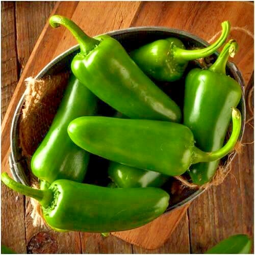 TAM JALAPENO pepper seeds NON-GMO mild heat big flavor KITCHEN MULTI TASKER WOW