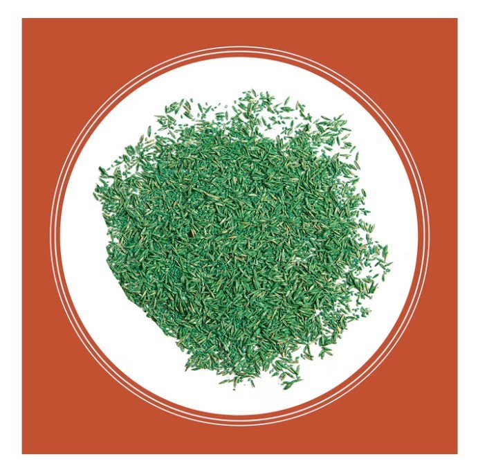 [HOT SALE] Pennington 15 lb Bermuda Grass Seed Lawn Seed Covers 15,000 Sq Ft