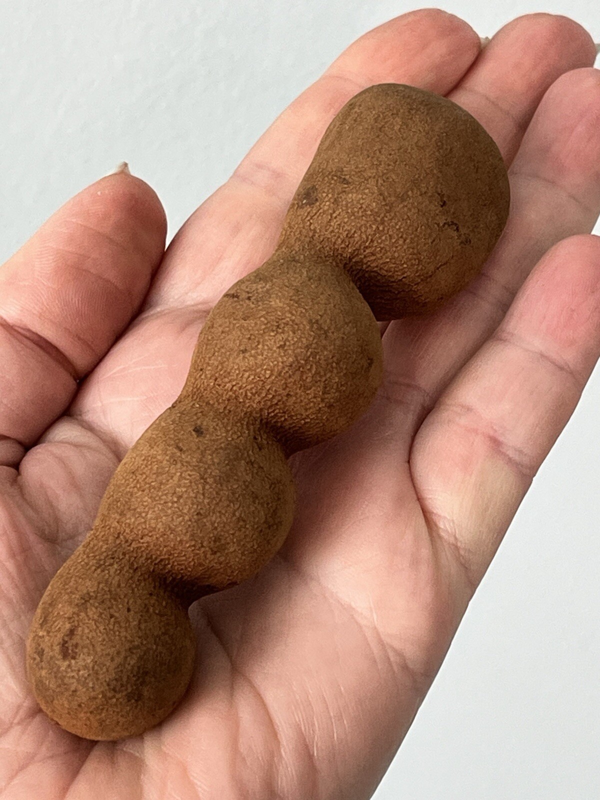 25 SWEET TAMARIND SEEDS