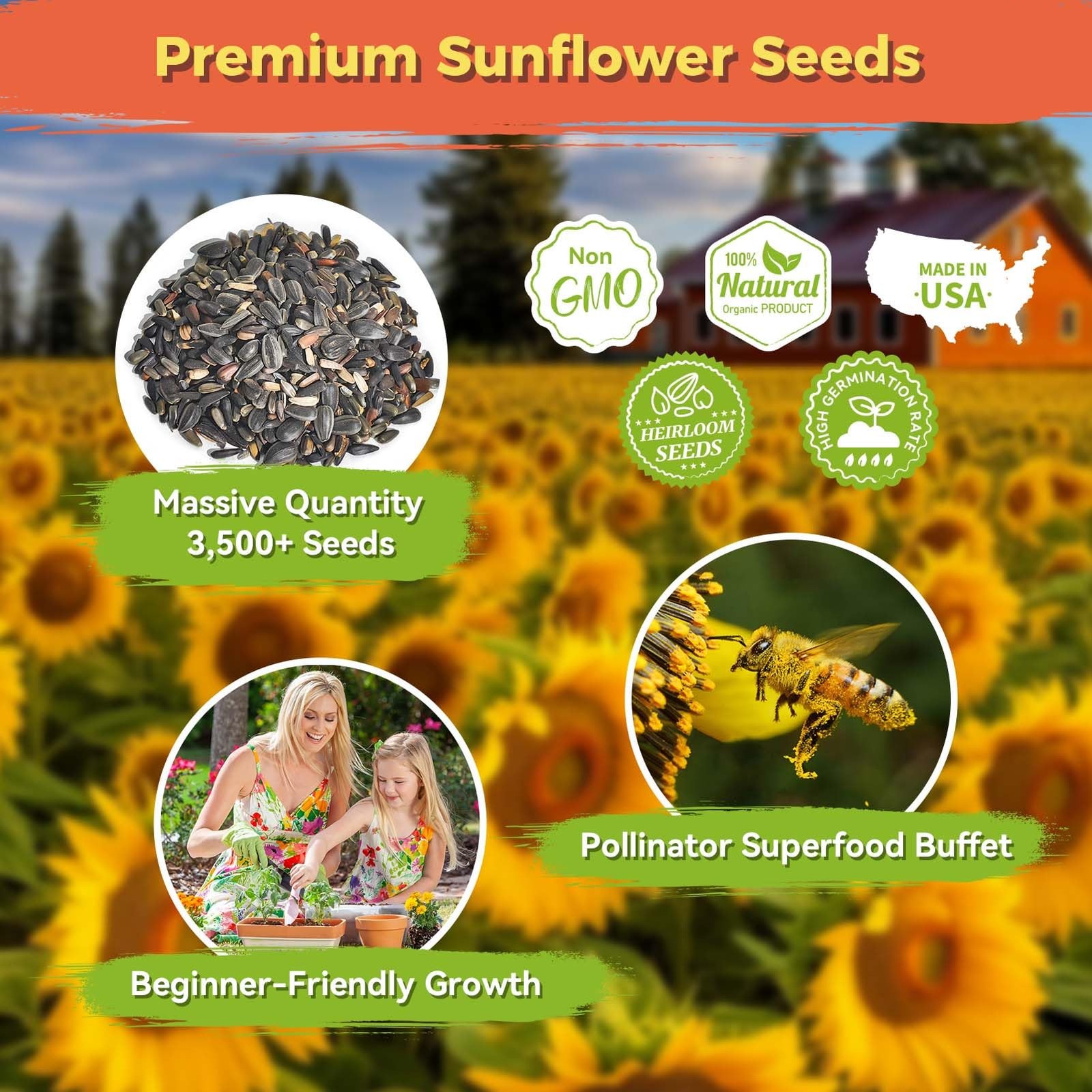 Sunflower Seeds for Planting | 3000+ Giant Mammoth Heirloom Bulk Seeds in 2oz…