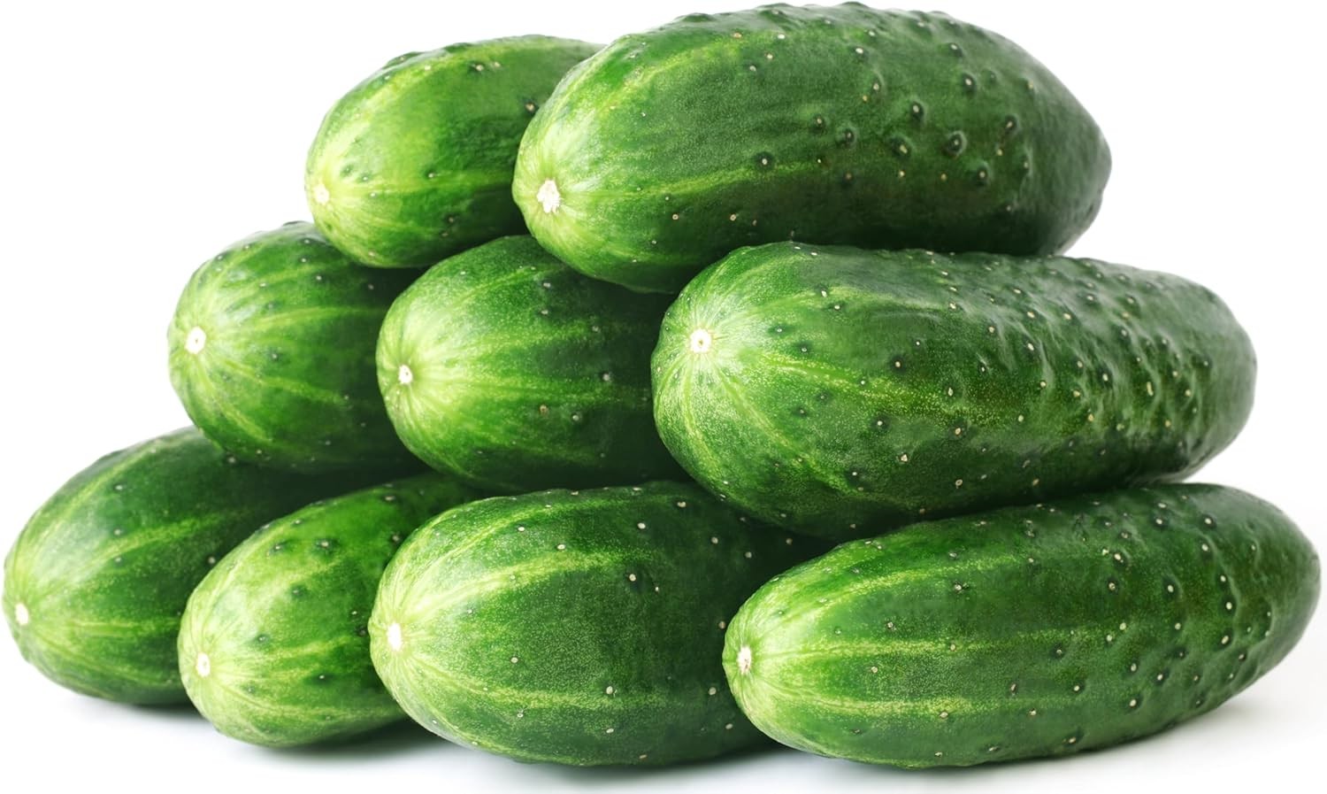 50 Straight Eight Cucumber Seeds – Heirloom Non-GMO USA Grown Vegetable Seeds