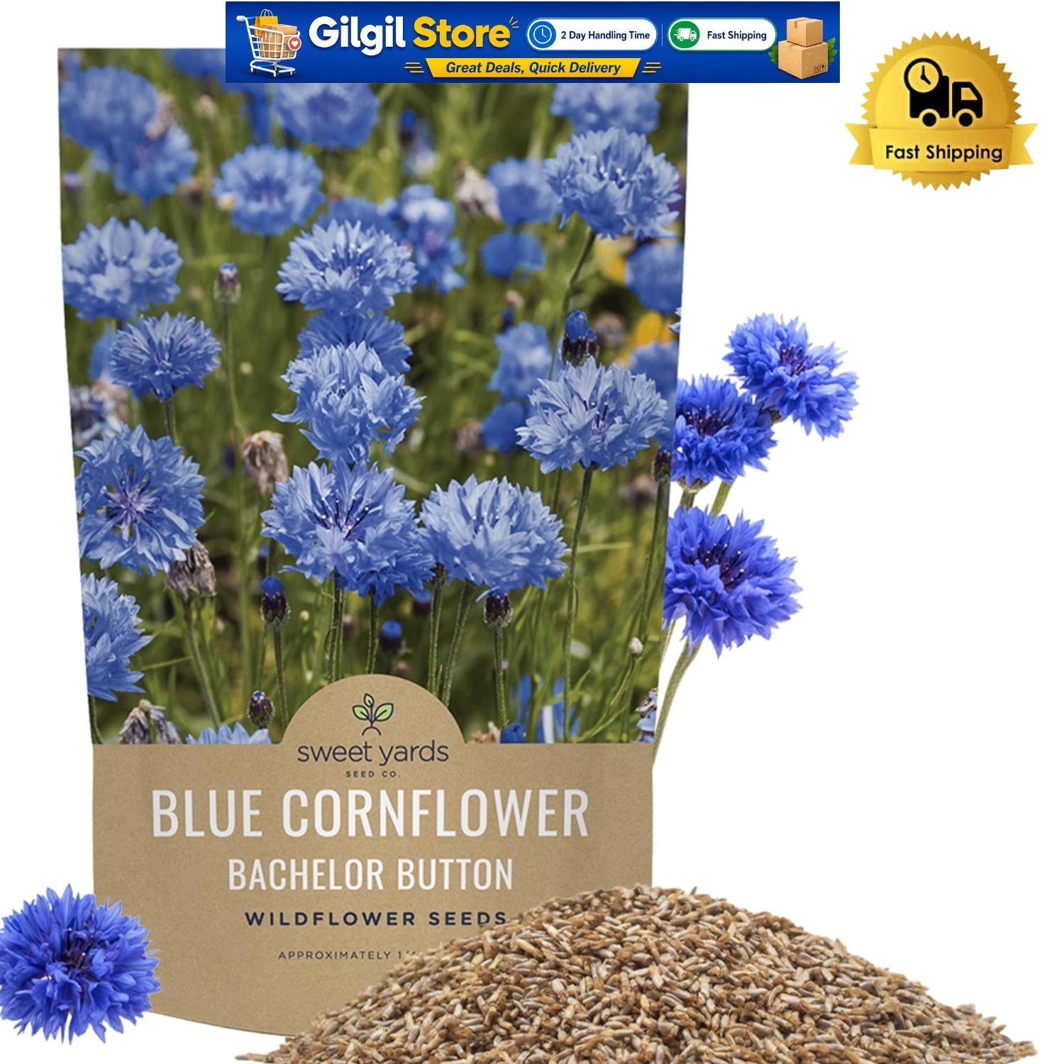 GMO-Free Blue Cornflower Seeds – 3 Feet Tall Blooms for Indoor or Outdoor Beauty