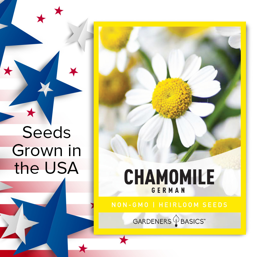 German Chamomile Seeds