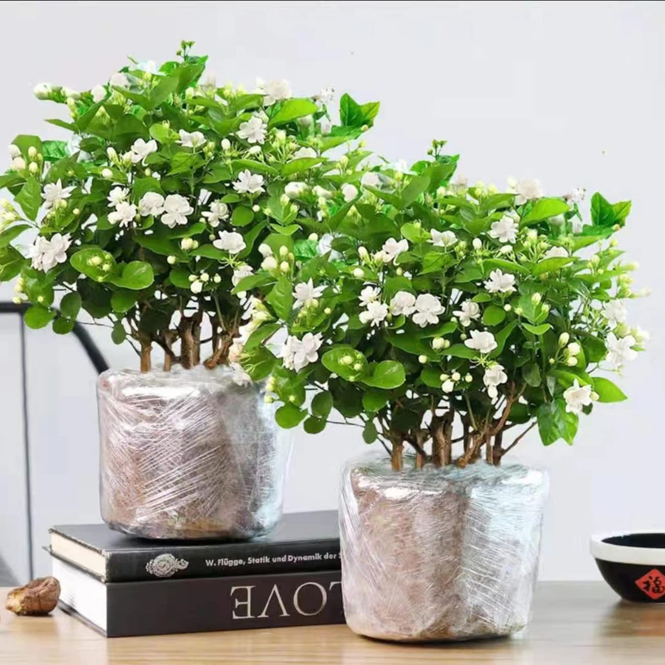 100+ Climbing Jasmine Flower Seeds Fragrant Plant for Planting Garden Home F…