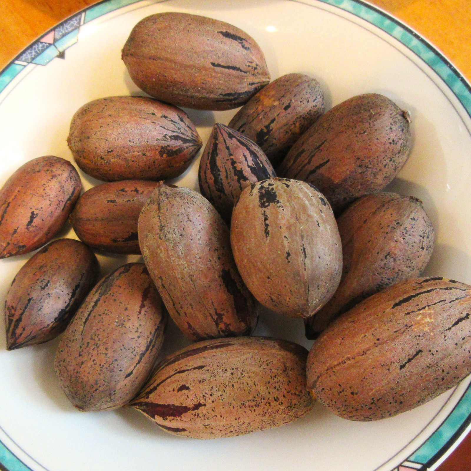 Pecan Tree Seeds – For 2025 Planting Carya Illinoensis Illinois Nut Pecans