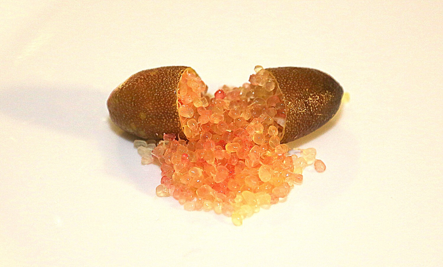 Green Giant caviar Australian Finger Lime/citrus 3 cuttings, no roots, imported