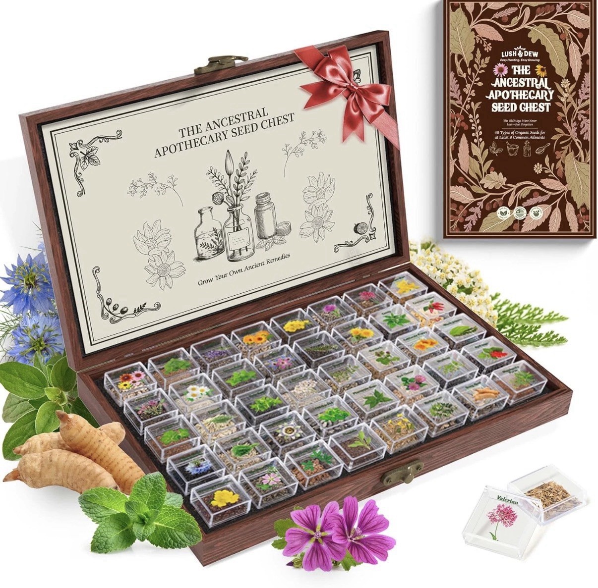 Medicinal Herb Seed Chest 36 000+ Non GMO Survival Kit Lush&Dew Ancestral Gifts
