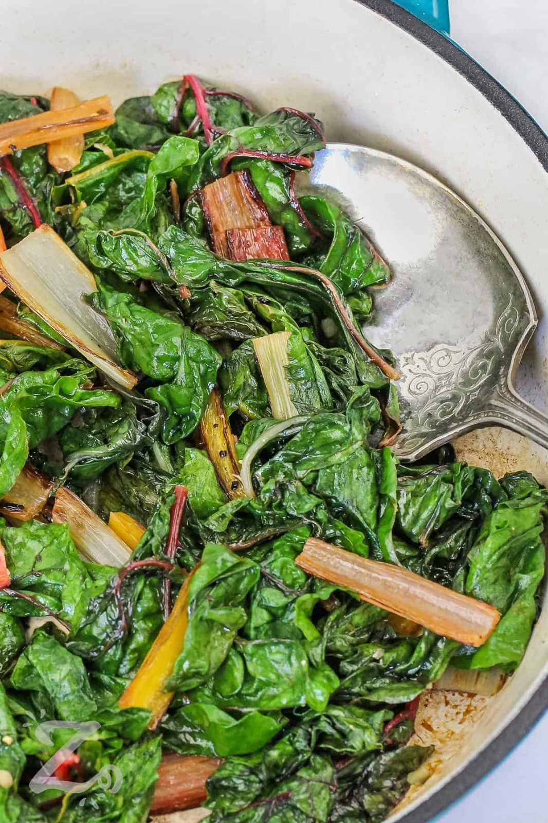🌱Heirloom Canary Yellow Swiss Chard 100+ Seeds