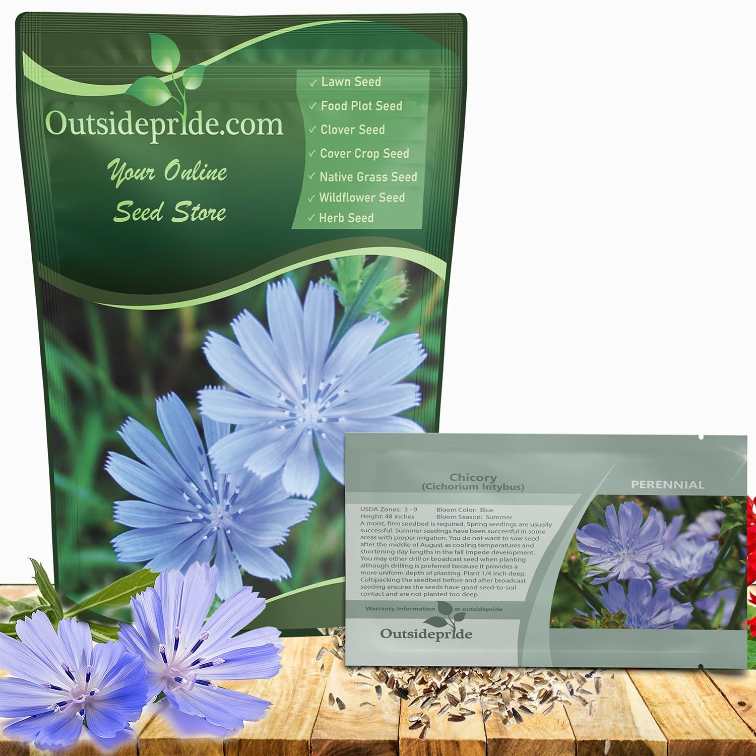 Chicory Seeds 1/4 lb Perennial Flower Seeds for Garden Pastures & Meadows