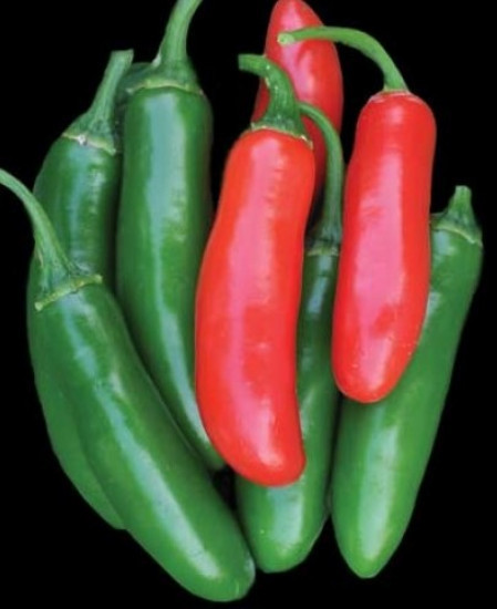 1/2 oz Serrano Tampiqueno Pepper Seeds, Heirloom Hot Pepper Seed, Non-GMO 2000ct