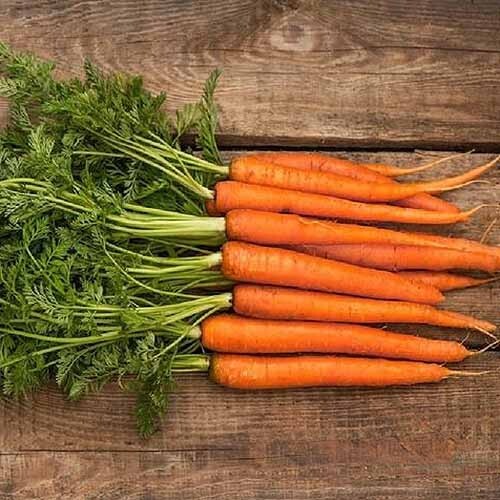 500 Scarlet Nantes Carrot Seeds – Non-GMO Heirloom Carrot Seeds
