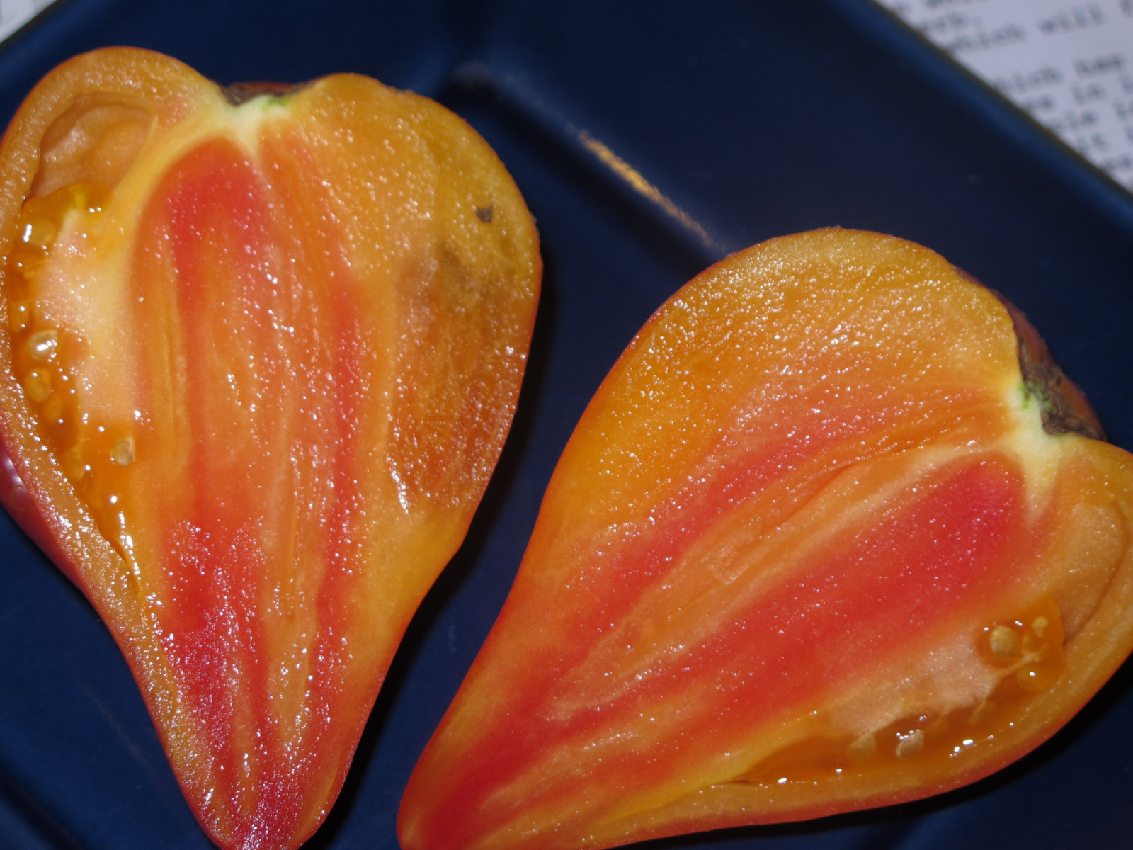 30+ Orange Oxheart Tomato Seeds ————- Heirloom — Organic —- RARE