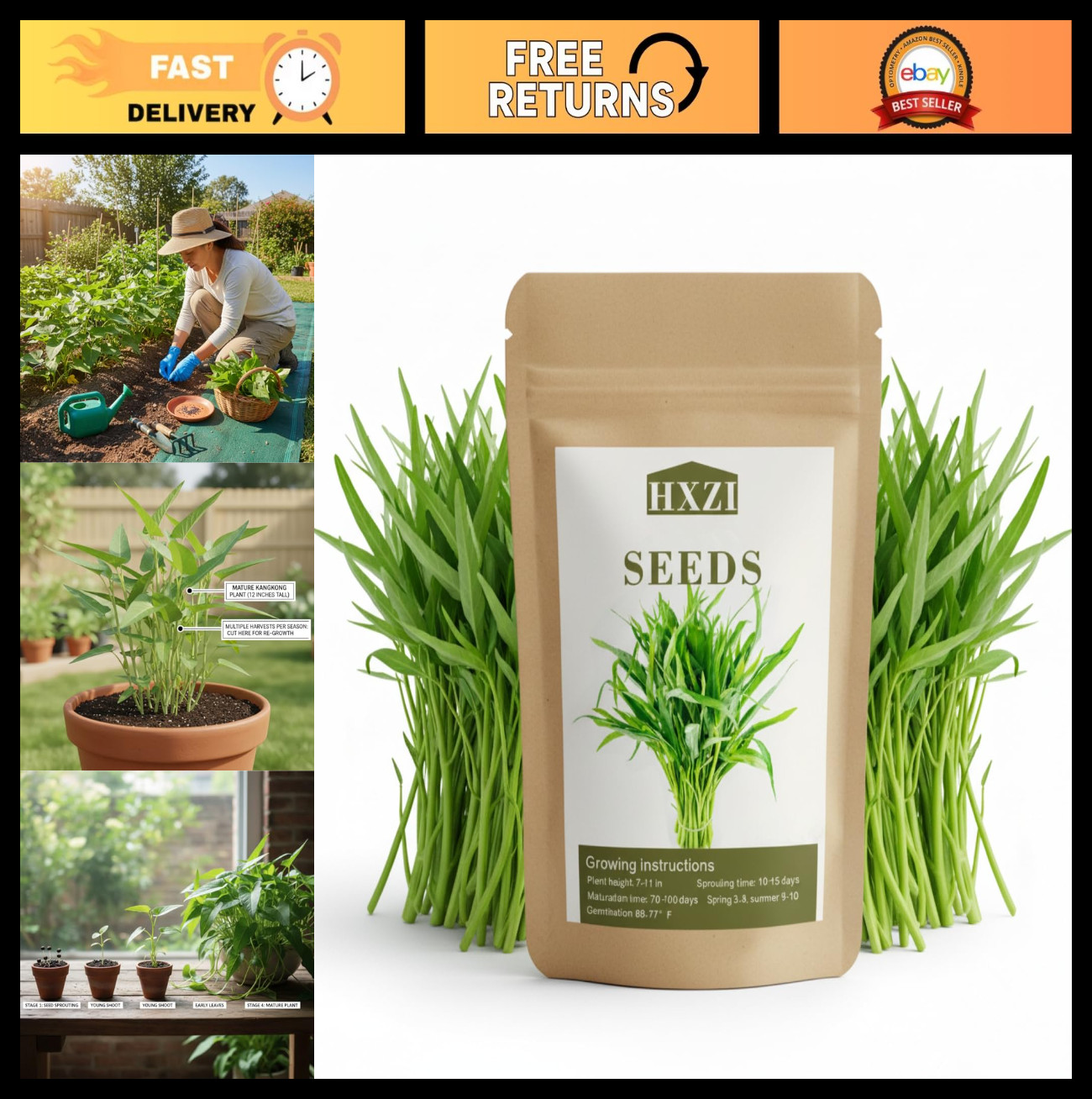 2000 Kangkong Seeds – Rau Muong for Planting, Asian Vegetable for Filipino Garde