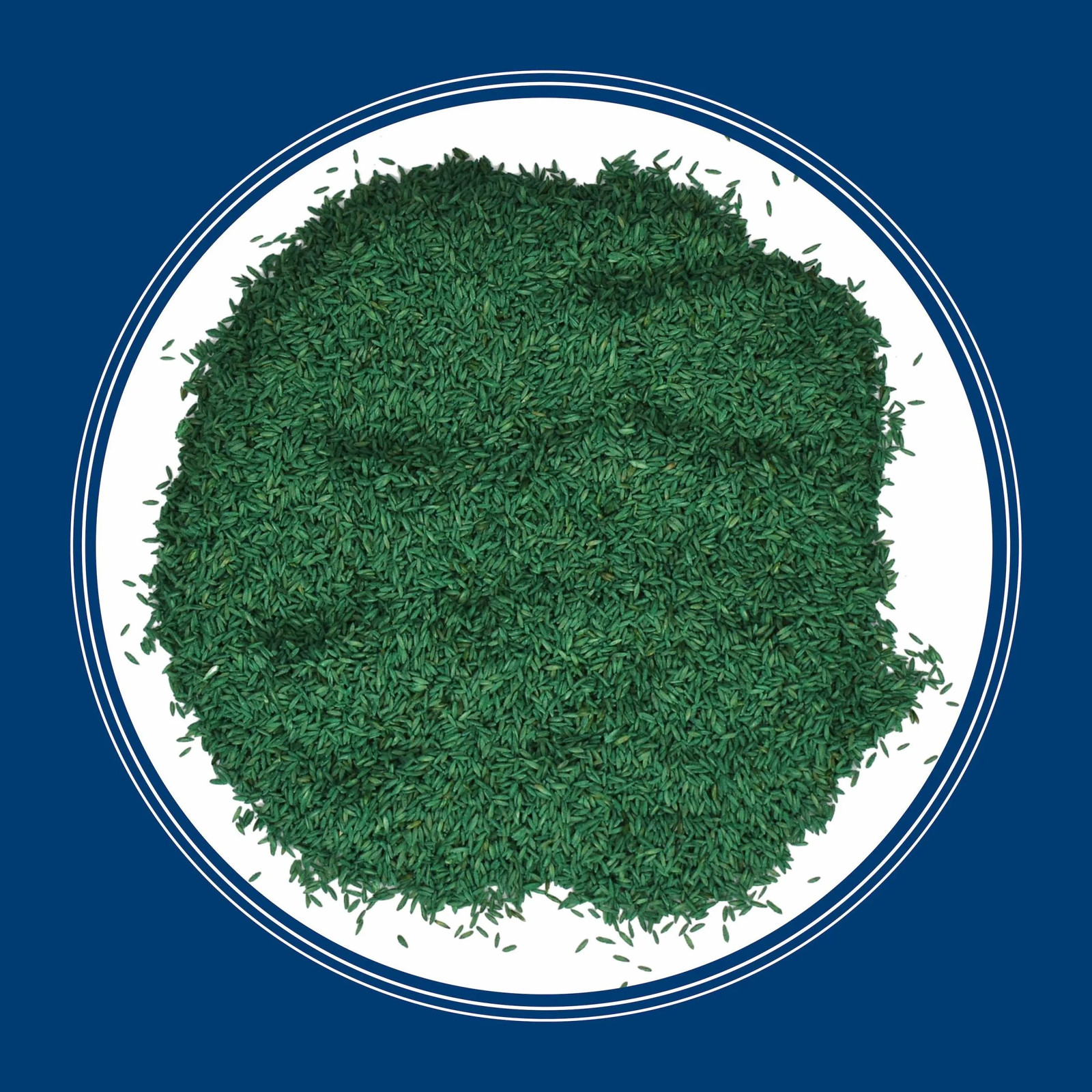 Kentucky Bluegrass Northern Grass Seed Mix, Sun Light to Partial Shade , 3 Lb.