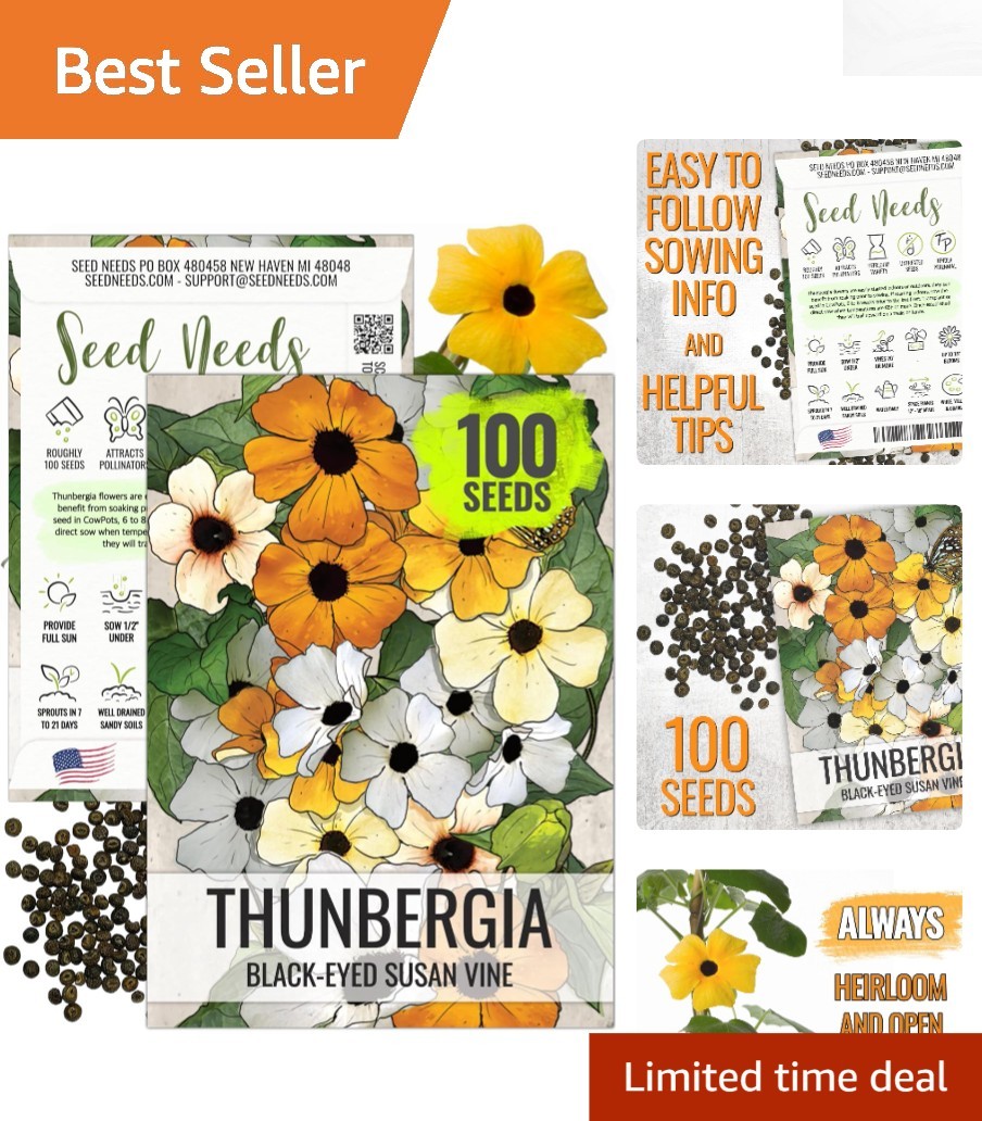 Thunbergia Alata Black-Eyed Susan Vine Seeds – Annual Blooms & Garden Privacy