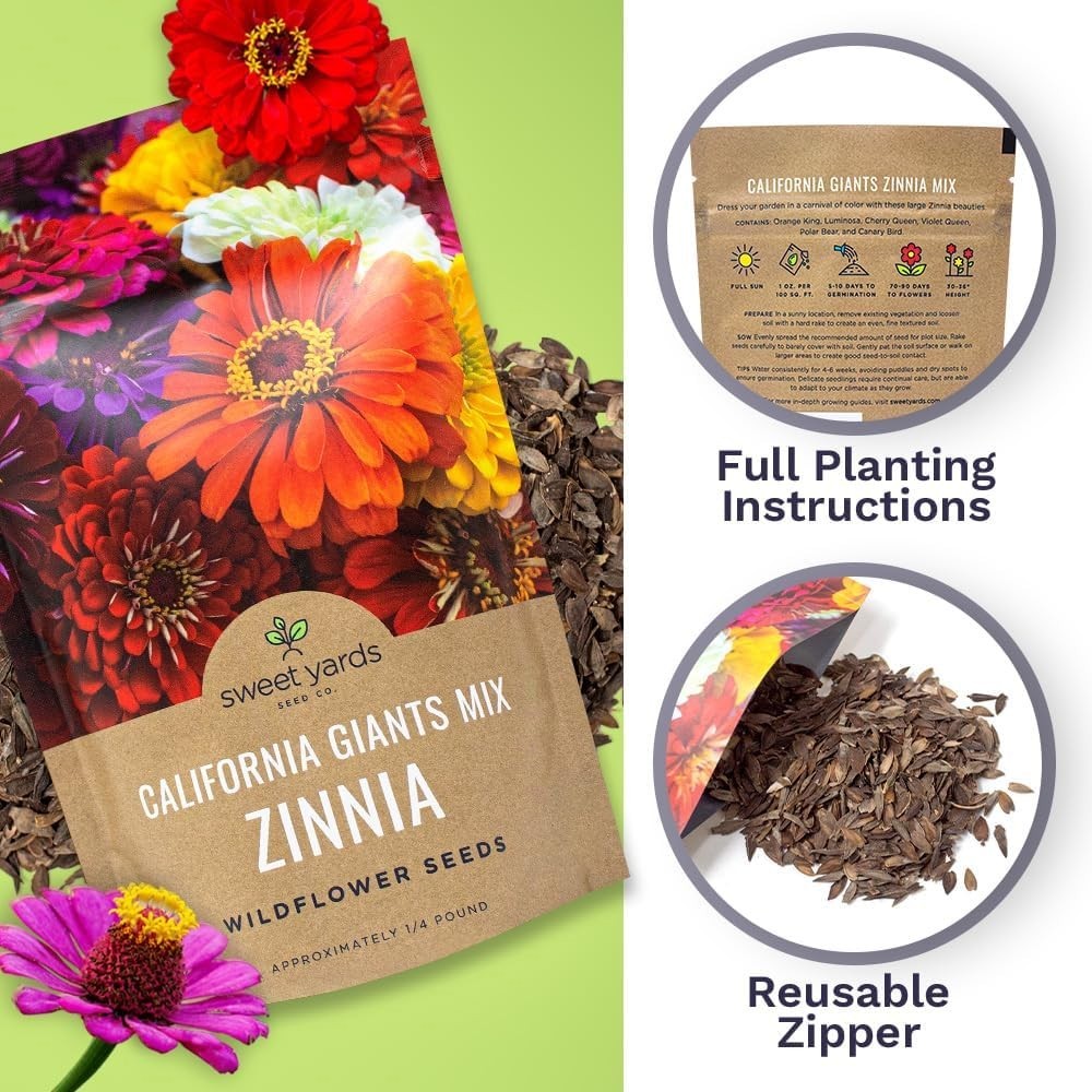 Vibrant California Giants Zinnia Seeds – 12,000 in 1/4 lb Resealable Packaging