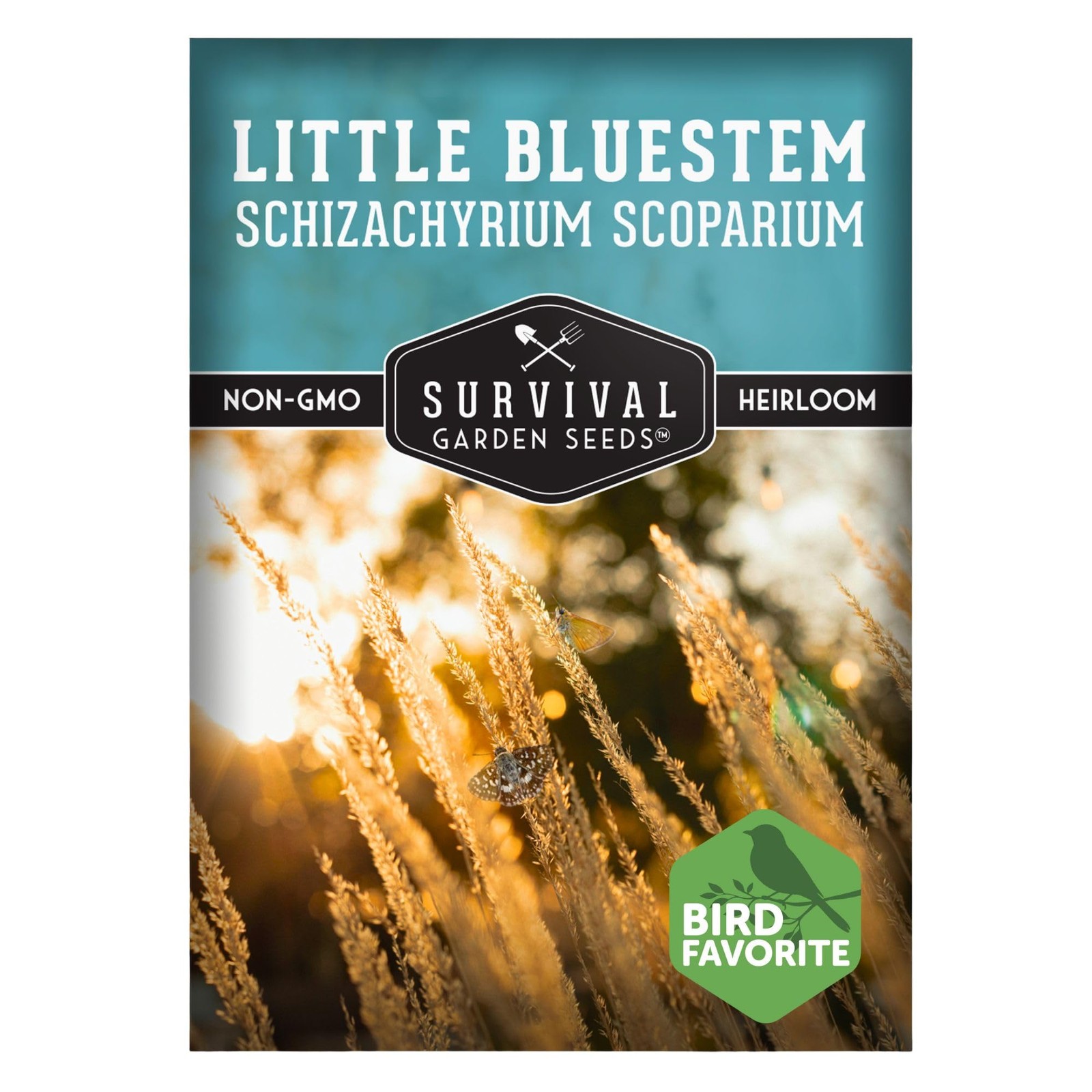 – Native Little Bluestem Grass Seeds (Schizachyrium scoparium) | Bronze Coppe…