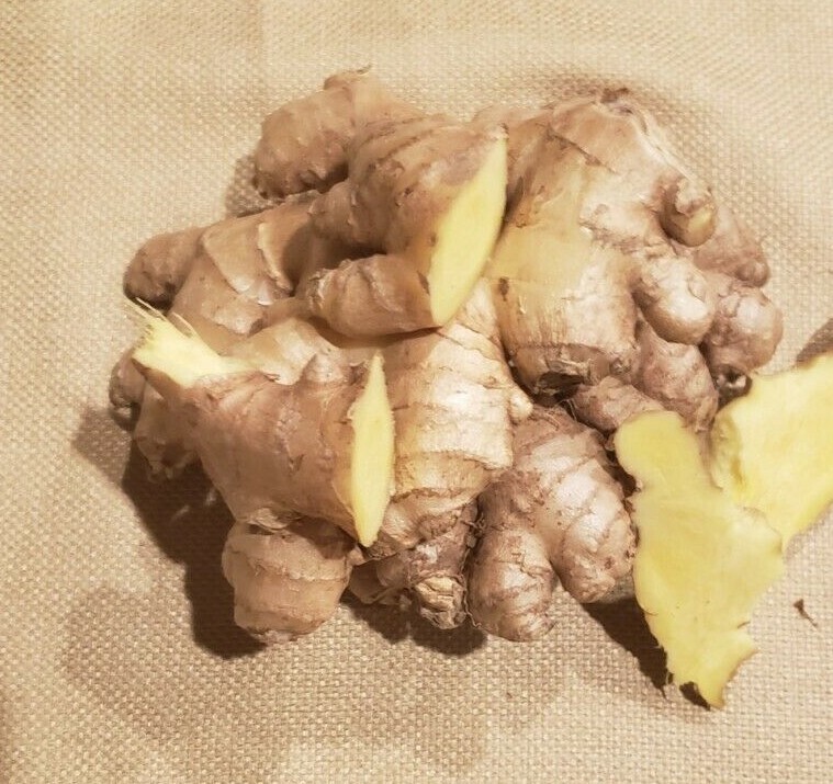 Fresh Organic Ginger Root. 14 – ounces package