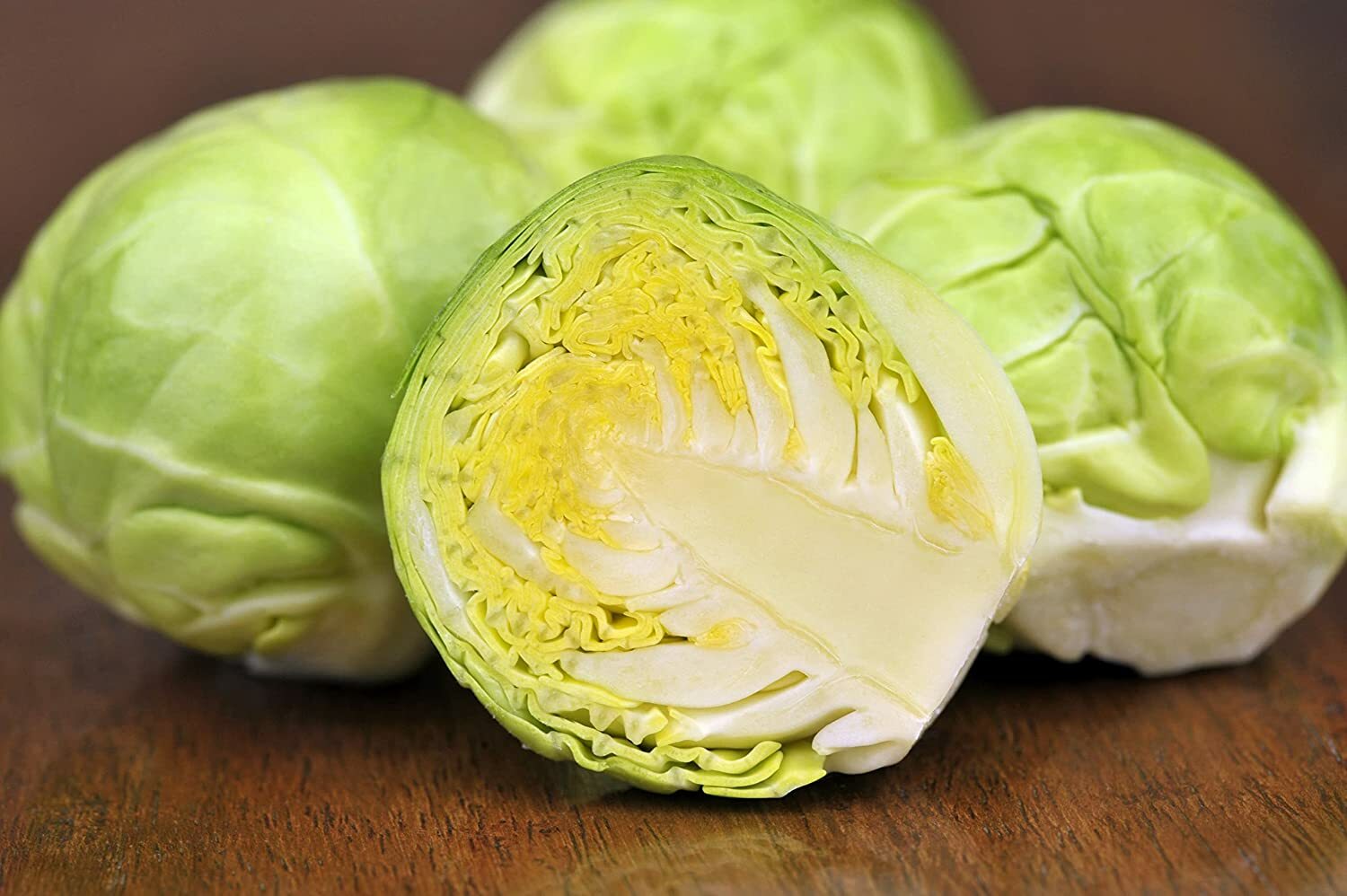 250+ Brussel Sprouts Seeds to Grow Your Own Food