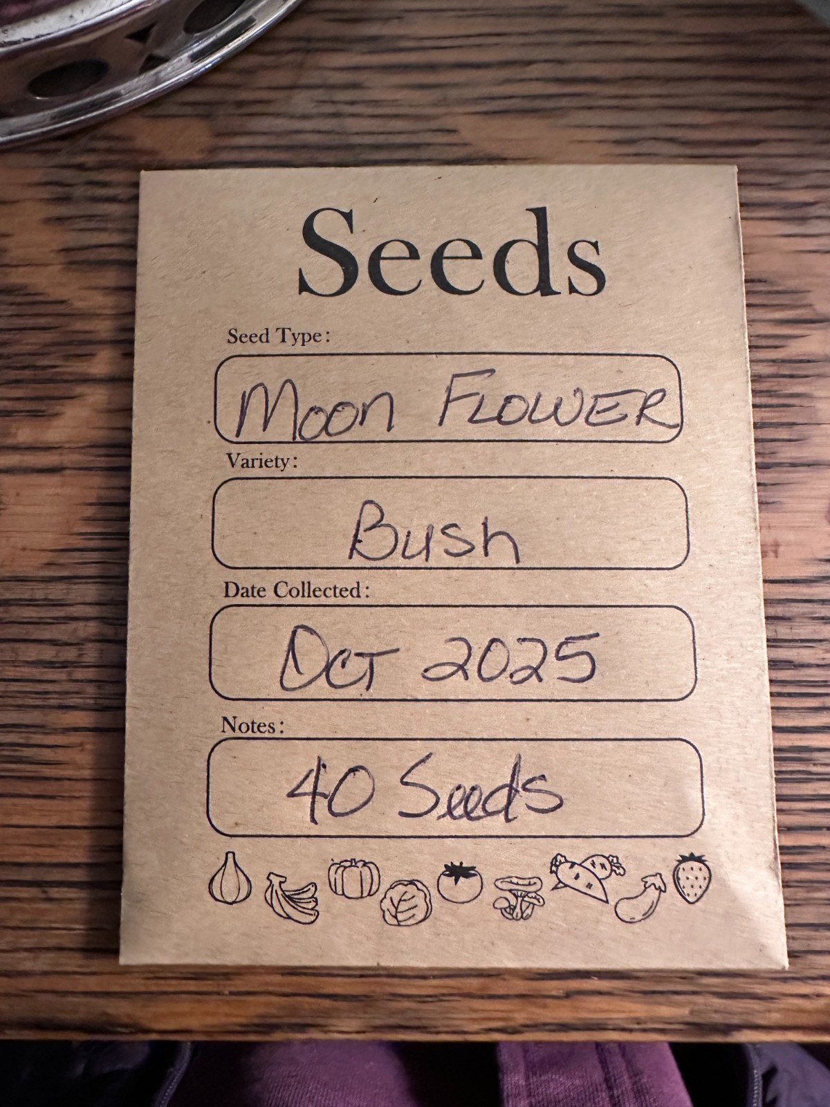 Moonflower – White Datura 200 organic Seeds Harvested October 2025