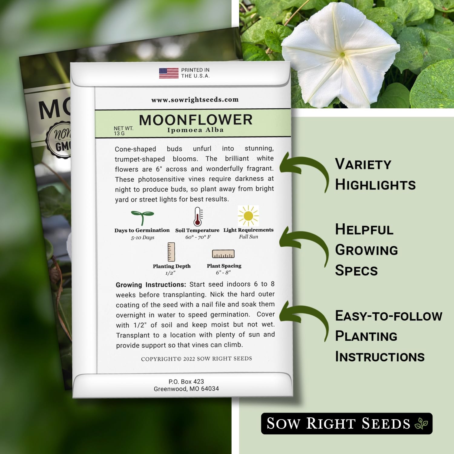 Moonflower Seeds for Planting Ipomoea alba Vining Plant NonGMO Heirloom …