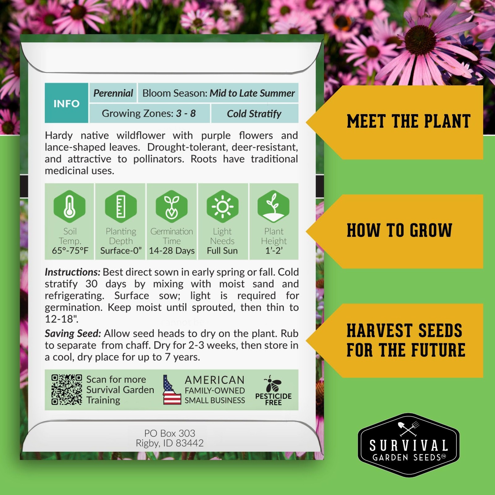 – Narrow-Leaved Coneflower Seeds for Planting | Echinacea angustifolia | Drou…