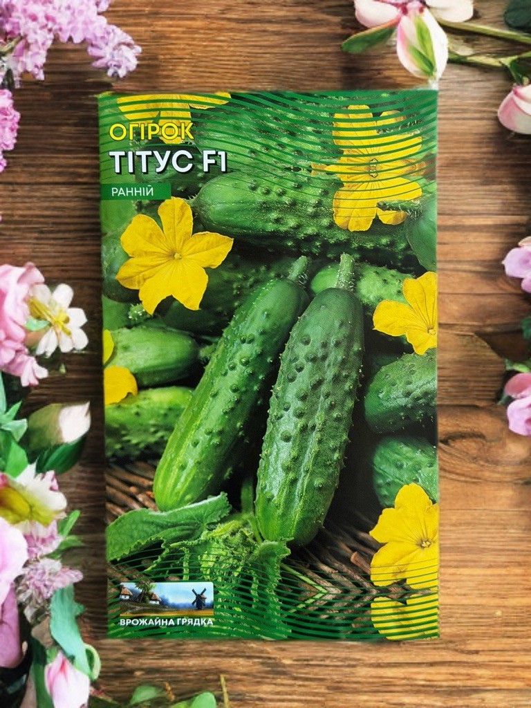 Cucumber seeds Titus F1. Ukraine. 1.5 g.