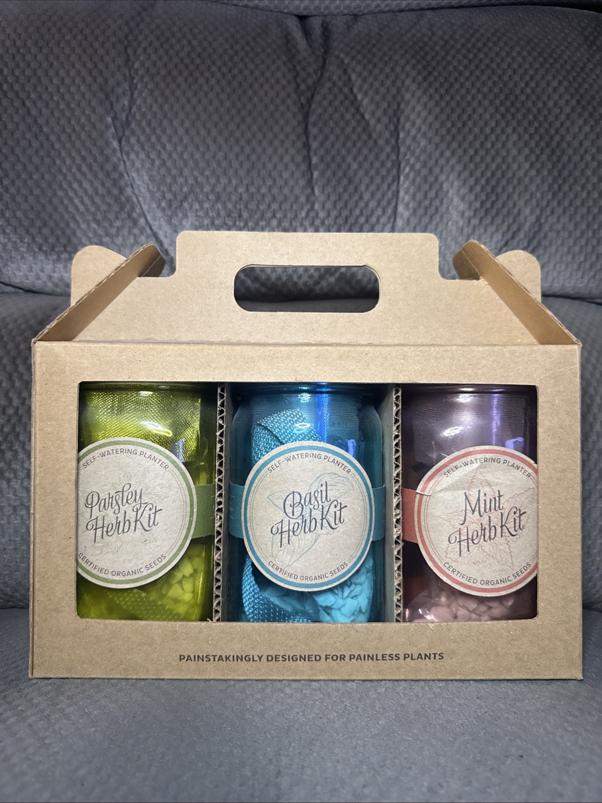 Modern Sprout Garden Jar Set Of 3 Parsley Basil & Mint Growing Plant Kit