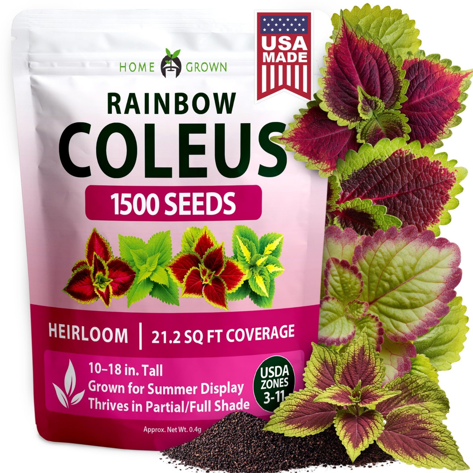 Rainbow Coleus Seeds – 1500 Count Multicolor Foliage for Indoor & Shade Gardens