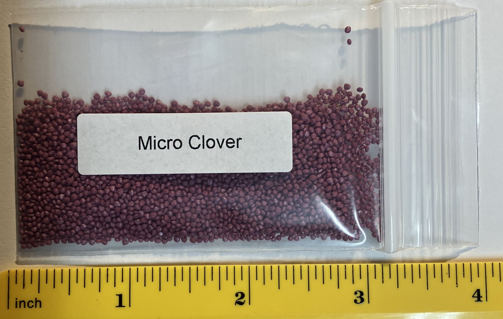 Micro clover seeds 5000-8000 seeds – ground cover – drought resistant