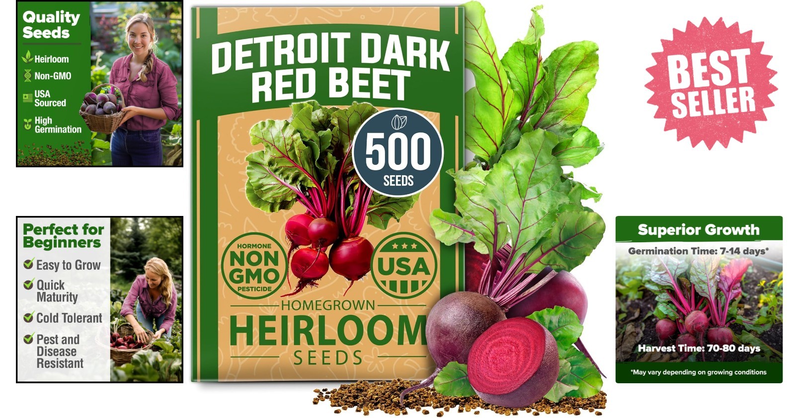 Sweet & Tender Detroit Dark Red Beet Seeds – 500 High-Germination Non-GMO Seeds
