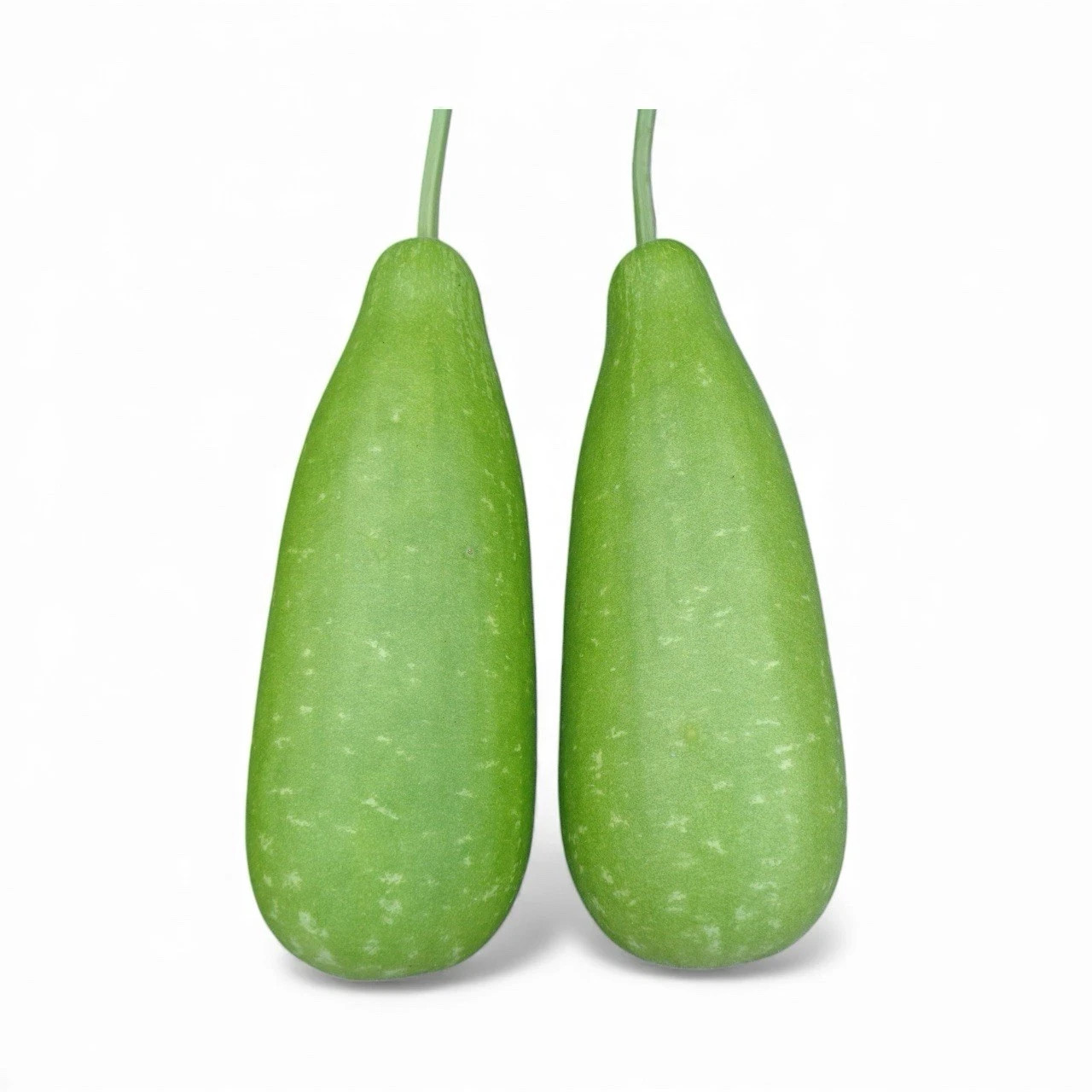 Big Bottle Gourd seeds, Bangladeshi Lau Seeds, 15 Deshi Lau Seeds