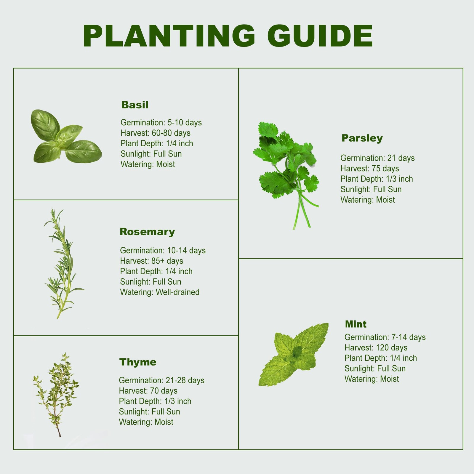 Indoor Herb Garden Starter Kit, 5 Seeds Growing into Basil, Parsley, Rosemary…