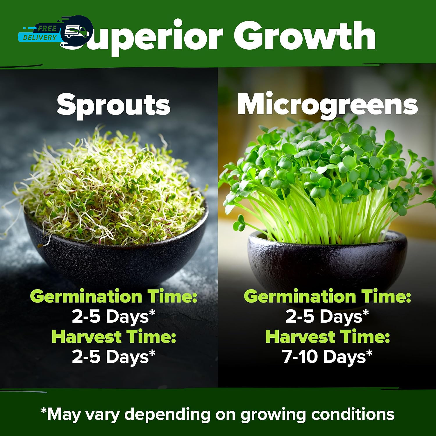 Premium Sprouting Seeds Mix – Microgreens 118 200 Seeds for Indoor Growing